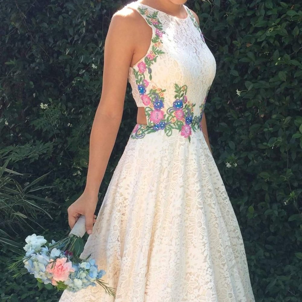 Nox Anabel Lace Embroidered Prom Dress